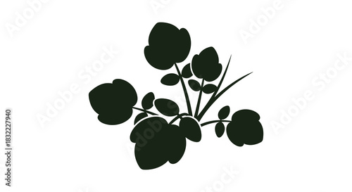 A delicate arrangement of leafy plants and blossoming flowers in dark silhouette