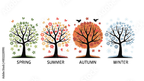 Four season tree illustration showing spring summer autumn winter with colourful leaves and nature elements