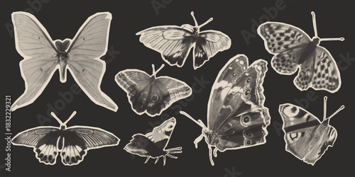 Halftone butterfly collage in grunge vintage monochrome on dark background. Retro sticker set with detailed insects - moth with dotted wings for scrapbook decoration. Y2k newspaper photocopy cutouts.