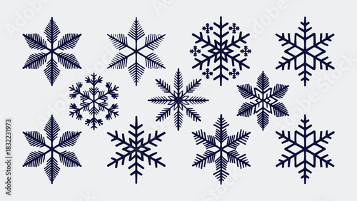 Winter snowflake collection with detailed geometric icy crystal shapes on light background