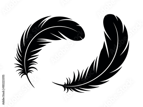 Two black feathers with detailed barbs isolated on a clean white background