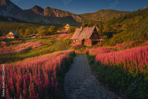 Fototapeta Naklejka Na Ścianę i Meble -  Fireweed flowering in the Tatras at sunrise in August, adding vivid pink tones to the mountain landscape.