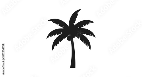 A striking black palm tree graphic design element with detailed fronds a beautiful silhouette