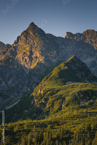 Fototapeta Naklejka Na Ścianę i Meble -  Fireweed flowering in the Tatras at sunrise in August, adding vivid pink tones to the mountain landscape.