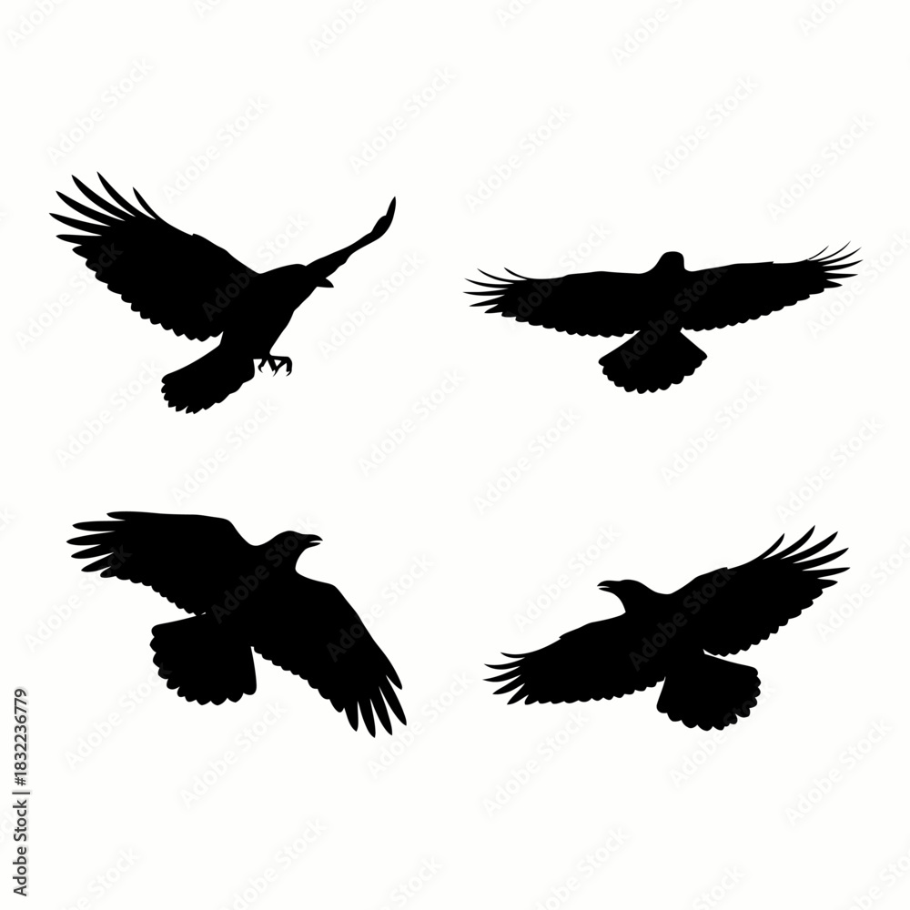 Fototapeta premium Set of four black bird silhouettes in flight, including eagles and hawks, on a white background, symbolizing freedom and power.