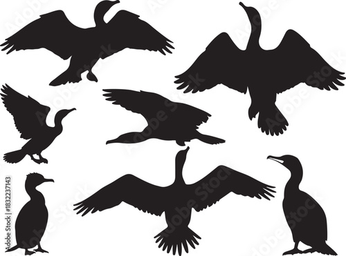 Cormorant Silhouette