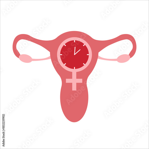Uterus. Healthy organ, menstruation. Women Health. Female reproductive system, cycle. anatomy, cervix, ovaries, fallopian tubes. Vector illustration, flat style