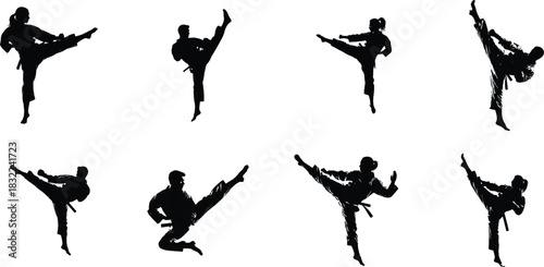 Silhouettes of martial artists performing kicks in various poses on white