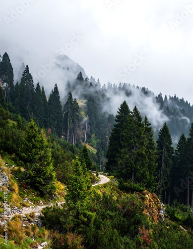 Mountain trail through a misty forest landscape, serene natural beauty.