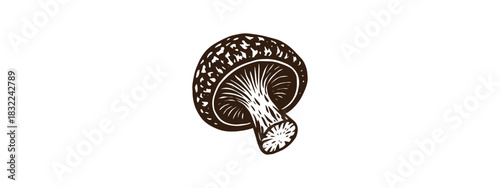Black and white vector of shiitake mushroom in vintage linocut style. Ideal for food packaging, botanical prints, restaurant branding, and culinary-themed design. Scalable for print and digital use.