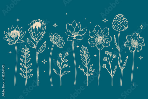 Ornate hand-drawn botanical line art featuring a diverse collection of delicate flowers