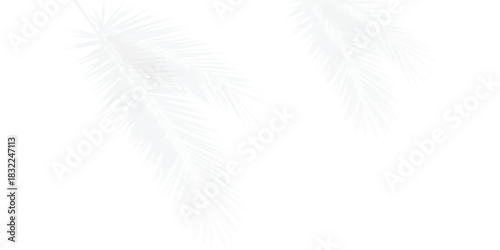 Subtle tropical palm leaf shadow overlay on clean white background design