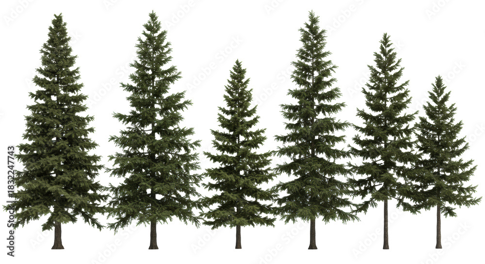 Obraz premium eight hyper-detailed 3d conifer tree assets (spruce, pine, hemlock) displayed linearly on transparent background with soft studio light, concept for professional architectural rendering
