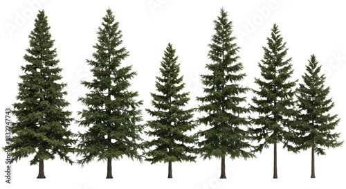 eight hyper-detailed 3d conifer tree assets (spruce, pine, hemlock) displayed linearly on transparent background with soft studio light, concept for professional architectural rendering