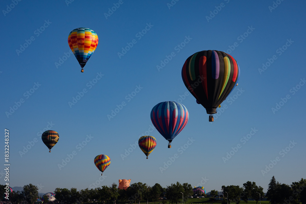 Fototapeta premium hot air balloon in flight