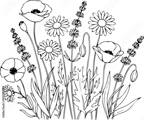 Elegant floral line art for coloring pages and nature-inspired designs, perfect for stationery, invitations, and botanical illustrations originally vector graphics