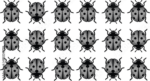 Collection of Eighteen Detailed Line Art Ladybugs and Ladybird Illustrations, Ideal for Entomology, Nature Graphics, Garden Pest Control, and Science Design.