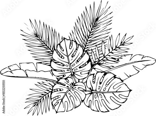 Tropical foliage arrangement with monstera and palm leaves, perfect for summer vibes, invitations, and botanical designs, originally vector graphics