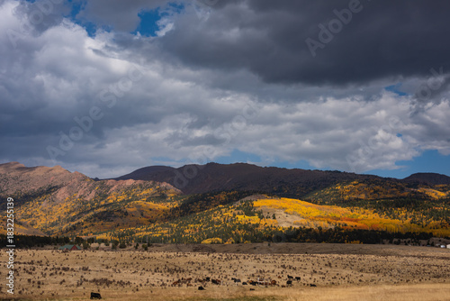 autumn landscape in the mountains