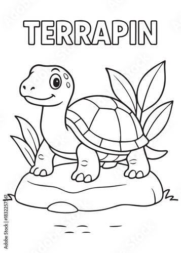 coloring book Terrapin – a terrapin standing on a rock with plants