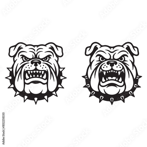 Aggressive Bulldog Heads with Spiked Collars animal