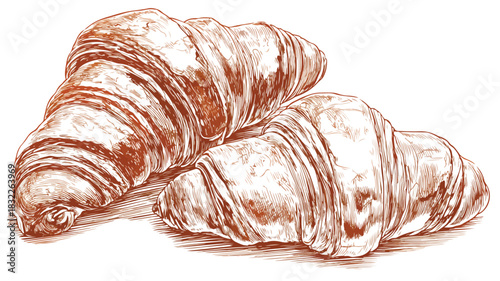Delicious Croissant Drawing with Croissant Picture for Creative Projects