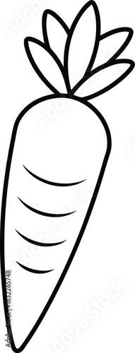 Outline sketch of a fresh carrot with green leaves. isolated on transparent background