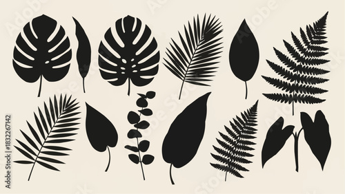 Silhouette collection of various tropical leaves including monstera fern and palm leaves set on beige