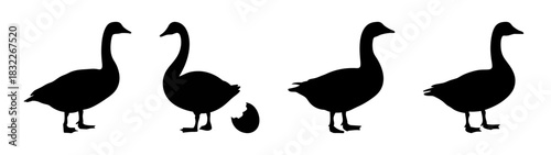 Silhouette of geese vector illustration, goose clip art, waterfowl, bird watching, geese images, nature art