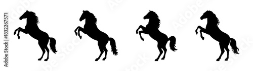 Horse silhouette rearing up vector illustration equestrian animal design element drawing black and white art