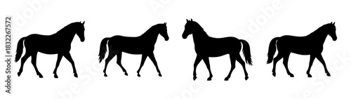 Horse silhouette art: equestrian design featuring black horses for animal lovers and art collectors