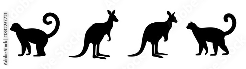 Black silhouette of cats and kangaroos vector illustration animal wildlife drawing image design graphic art