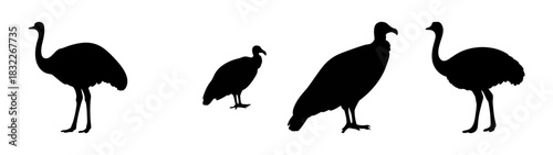 Silhouette of ostrich and bird group vector art illustration graphic design element for print and web