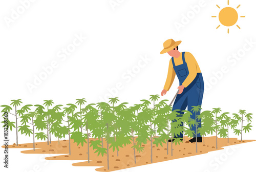 Farmer tending rows of green leafy plants under a bright sun