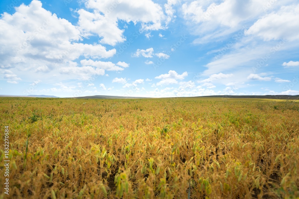 Fototapeta premium Beautiful hilly landscape in the foreground with blue sky