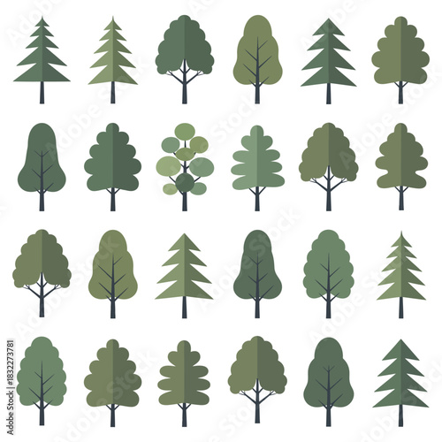 A collection of green trees with fresh foliage, including maple and birch, displaying the vibrant leaves of the spring and summer season