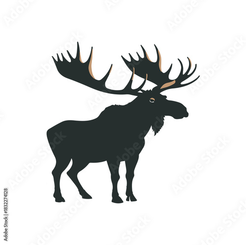 moose vector illustration