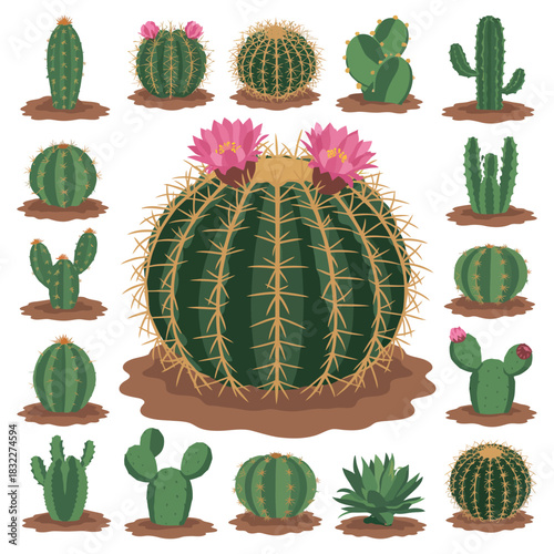 Set of cactus plants with fruits in garden
