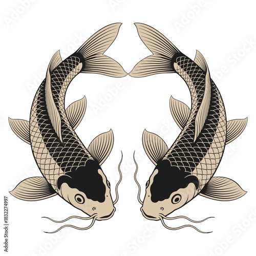 Goldfish cartoon on a white background