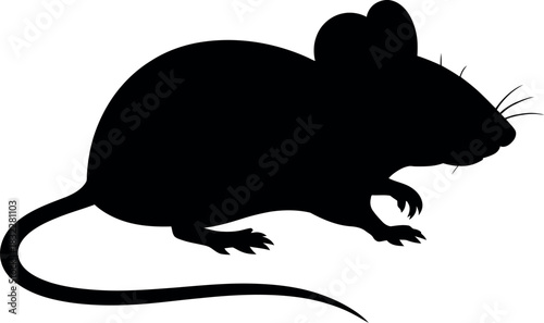 Silhouette of a small mouse with a long tail, isolated on a white background.