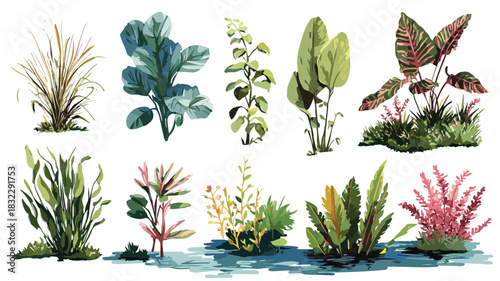 Diverse Collection of Botanical Arrangements with Plants and Water
