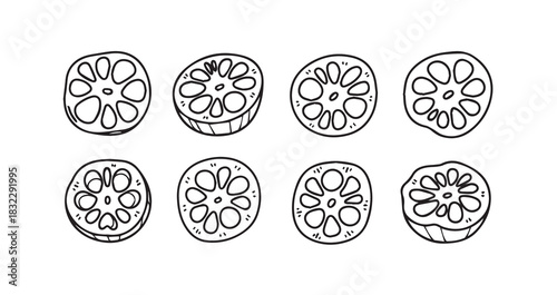 Lotus Root icon 6 pec set black line art 