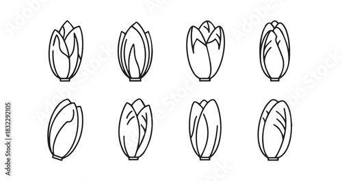 Endive icon 6 pec set black line art