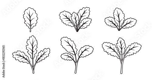 Whisk kitchen utensil vector for culinary arts baking and cooking food preparation isolated on white background