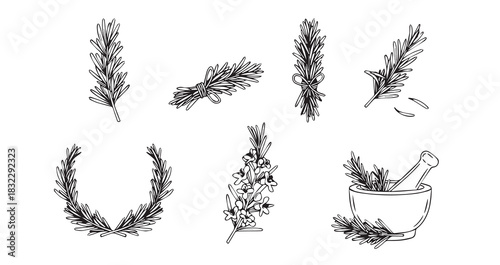Rosemary icon 6 pec set black line art