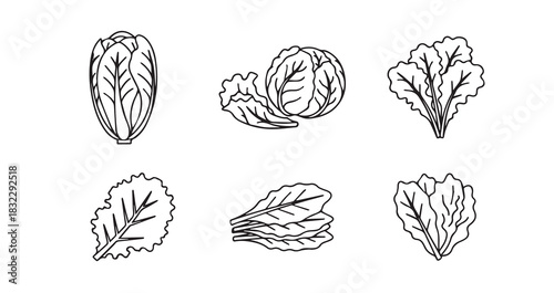 Whisk kitchen utensil vector illustration for cooking baking and culinary preparation in the kitchen