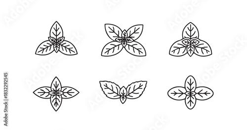 Basil icon 6 pec set black line art
