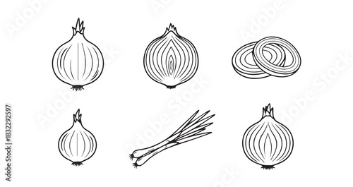 Onion icon 6 pec set black line art