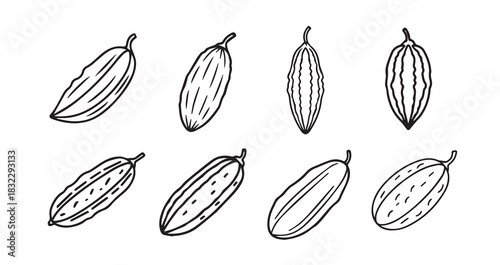 Bitter Melon icon 6 pec set black line art