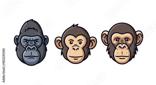 Three cartoon primate faces gorilla and two chimpanzees illustrating diverse animal evolution isolated on white background